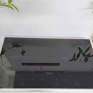 Bếp từ Fermi NG 012