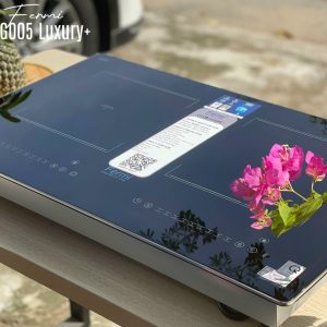 Bếp từ đôi Fermi NG005 LUXURY made in Malaysia