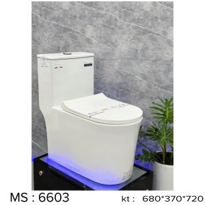Bệt liền khối Ekozxi - 6603