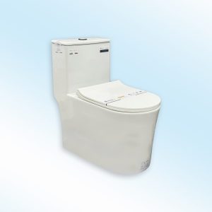 Bệt liền khối Ekozxi - 6603