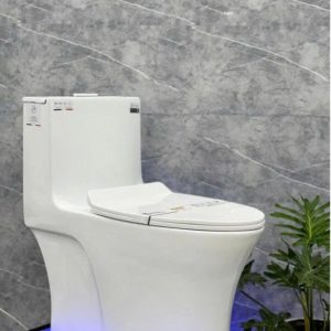 Bệt liền khối Ekozxi - 6606