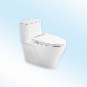 Bồn Cầu INAX AC-989+CW32 Nắp Rửa Cơ