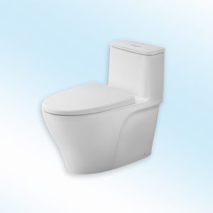 Bồn cầu 1 khối INAX AC-989VN