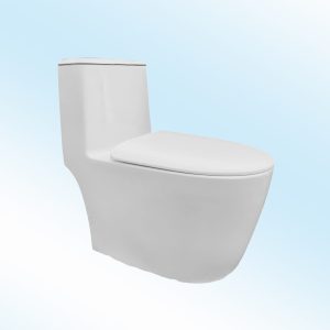 Bồn cầu liền khối EKOZXI – E828